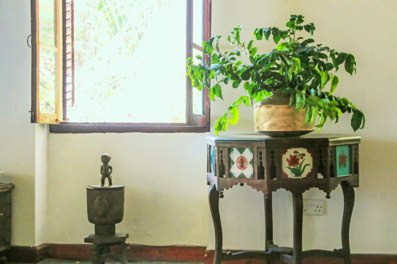 Hiliki House Bed and Breakfast Zanzibar Εξωτερικό φωτογραφία